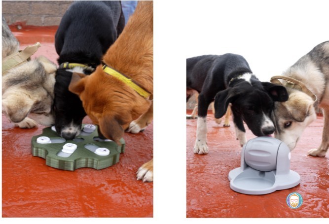 Impresión 3D para el Bienestar Canino: Juguetes que Reducen el Estrés en Refugios